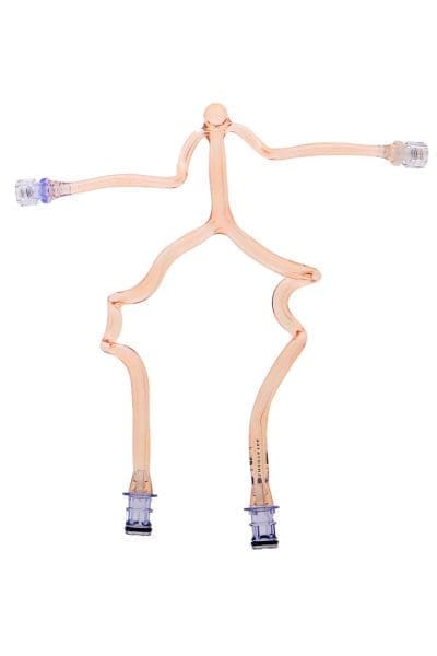Vertebral Basilar Model with Aneurysm