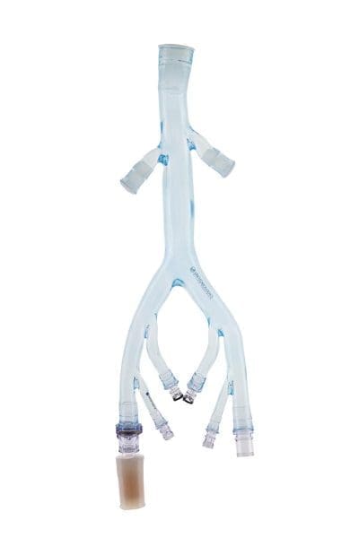 Venous Iliac Model