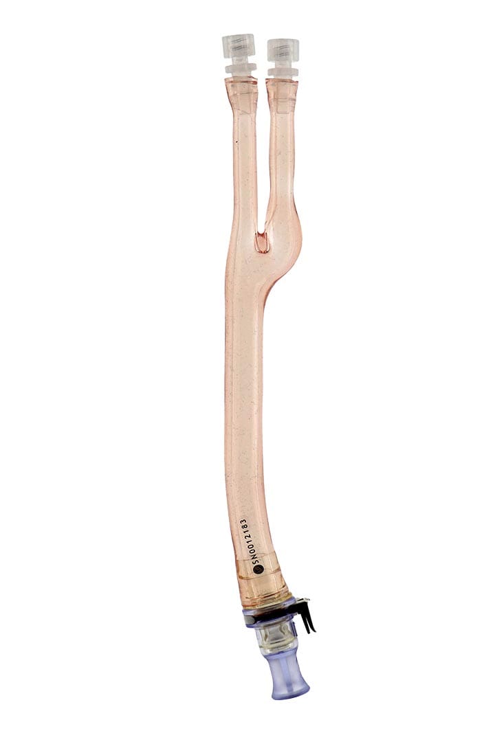 Carotid Bifurcation Model