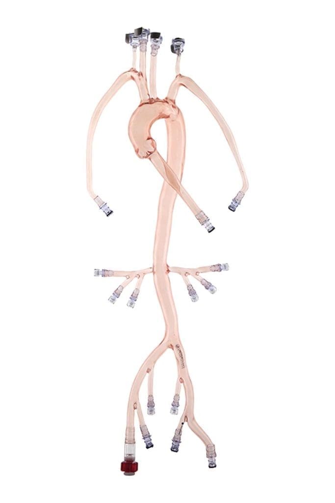 Neuro Test Model