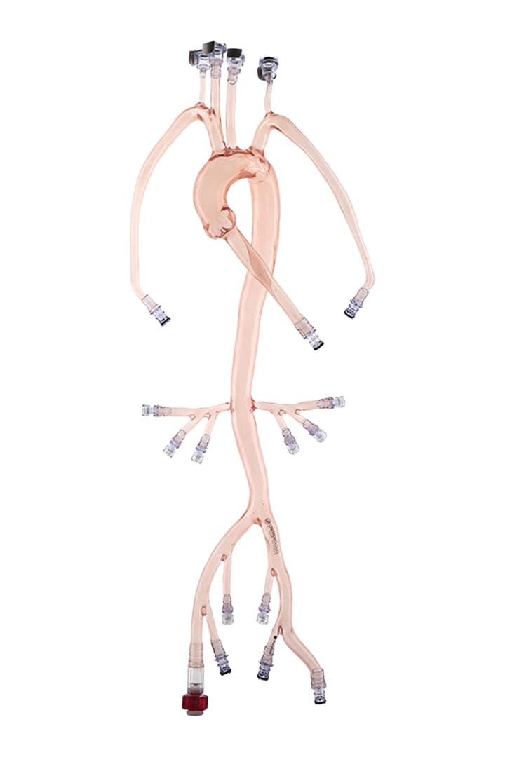 Neuro Test Model