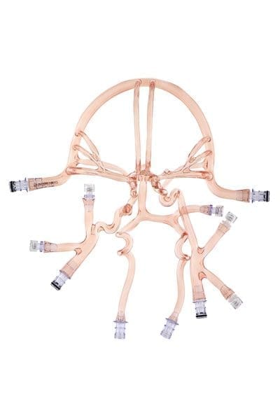 Circle of Willis Model with Aneurysms