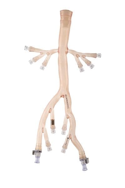 Arterial Silicone Vessel Iliac Model
