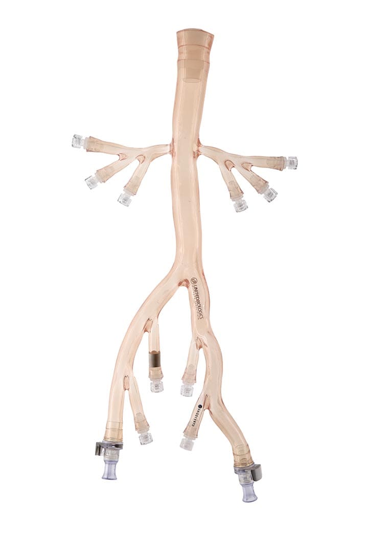 Arterial Silicone Vessel Iliac Model