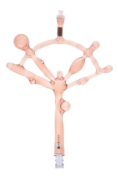 FLAWS Model