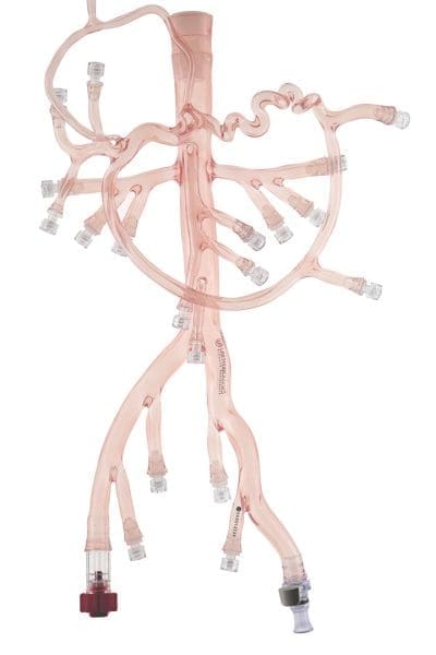 Abdominal Region Model, Tortuous Splenic